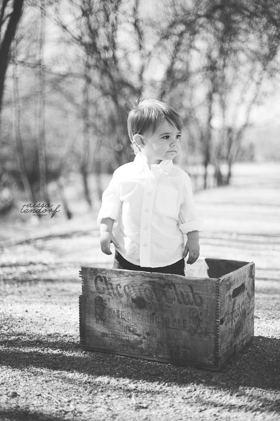 evan-105wm
