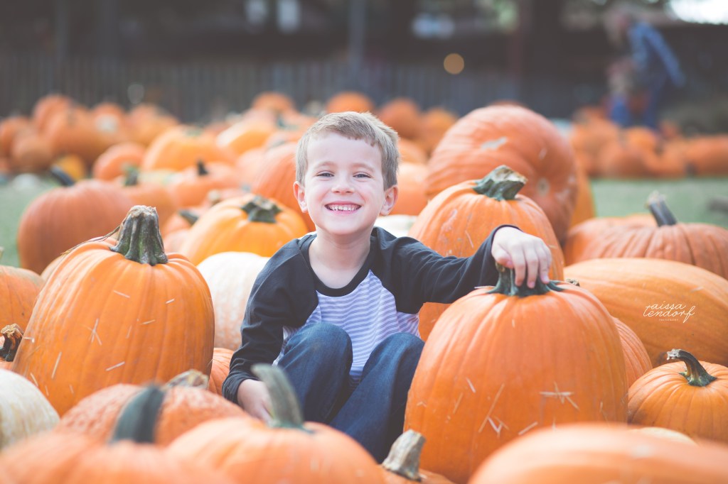 pumpkin patch | family | richardson,&nbsp;tx