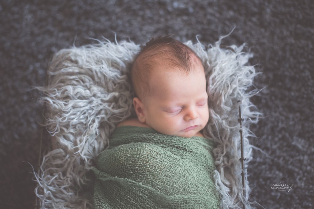 carter | newborn | oak point,&nbsp;tx