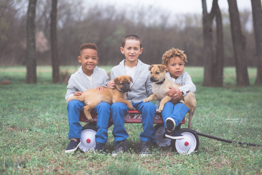 who let the dogs out | family | mckinney,&nbsp;tx