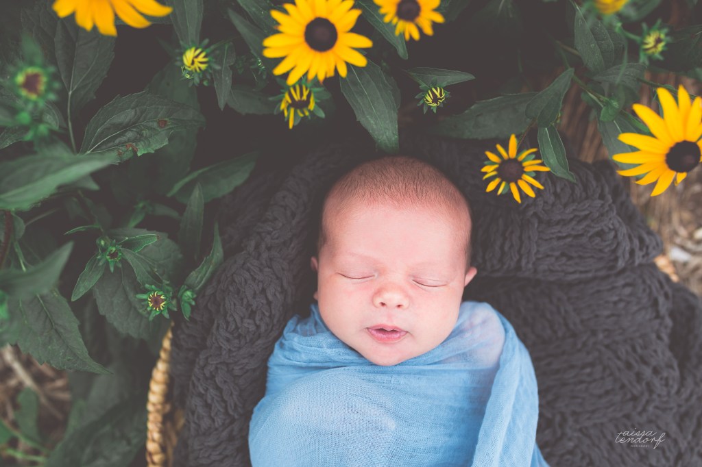 morgan | newborn | mckinney,&nbsp;tx