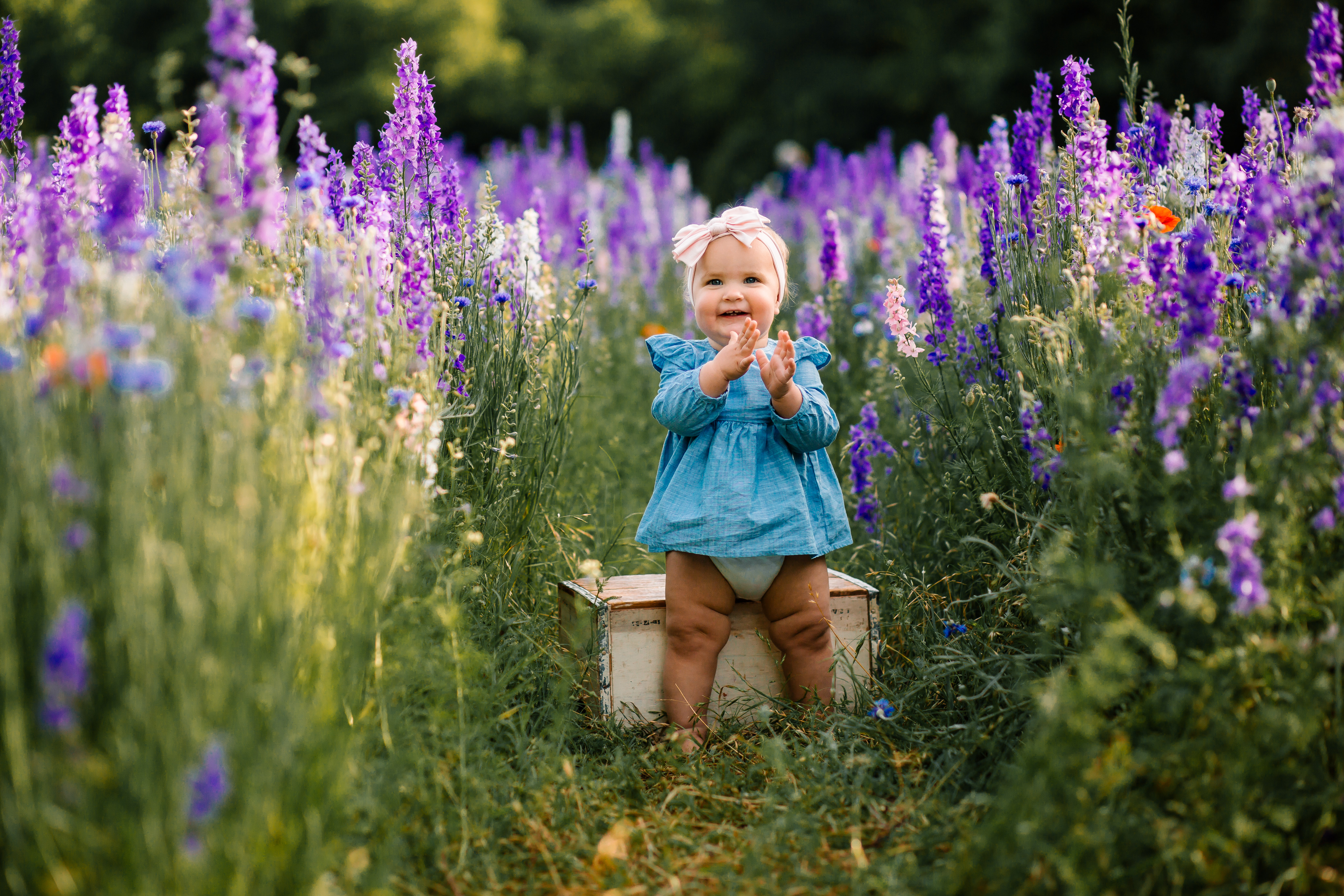 ameliawildflowers-37