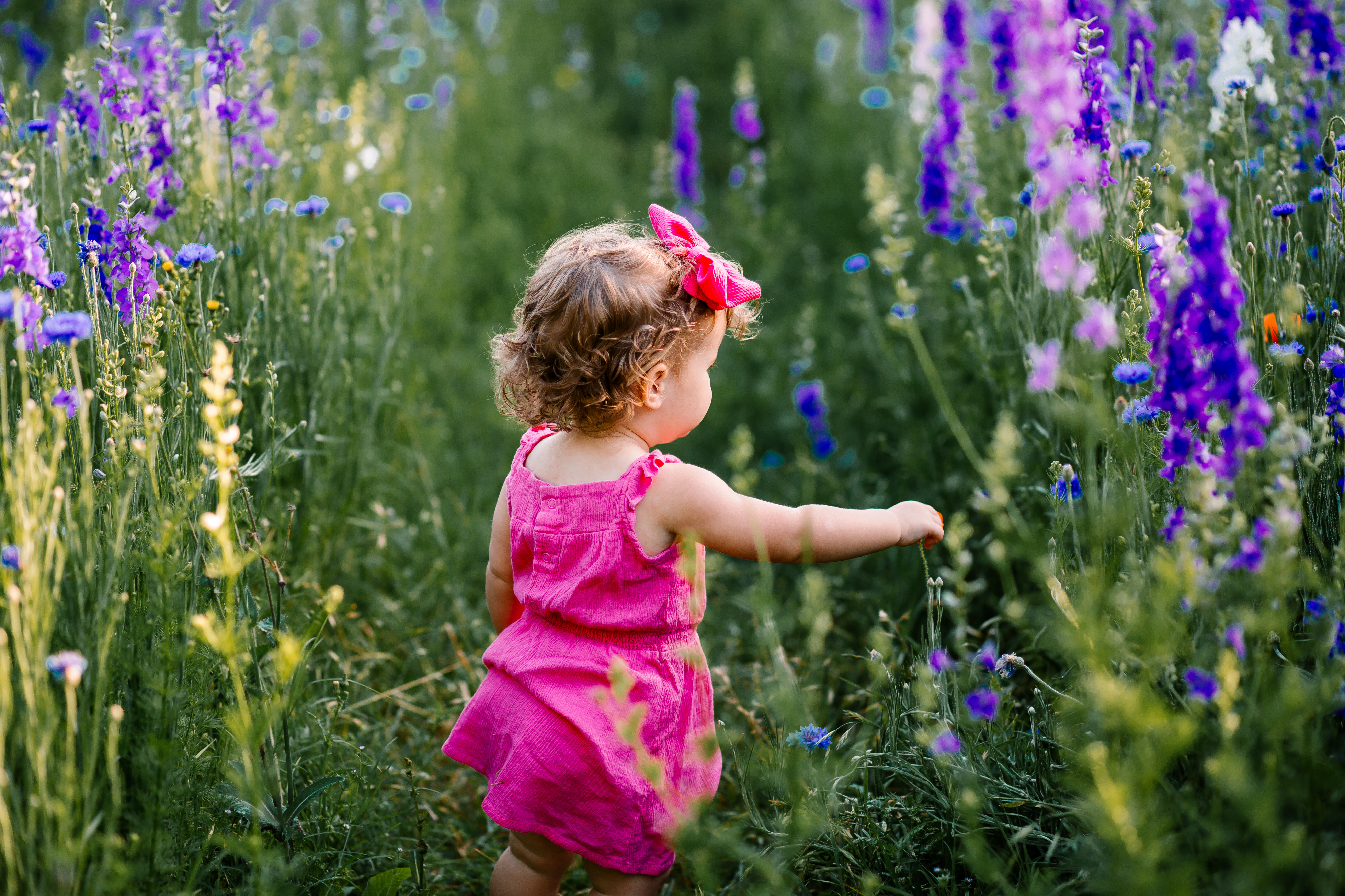 graveswildflowers-22