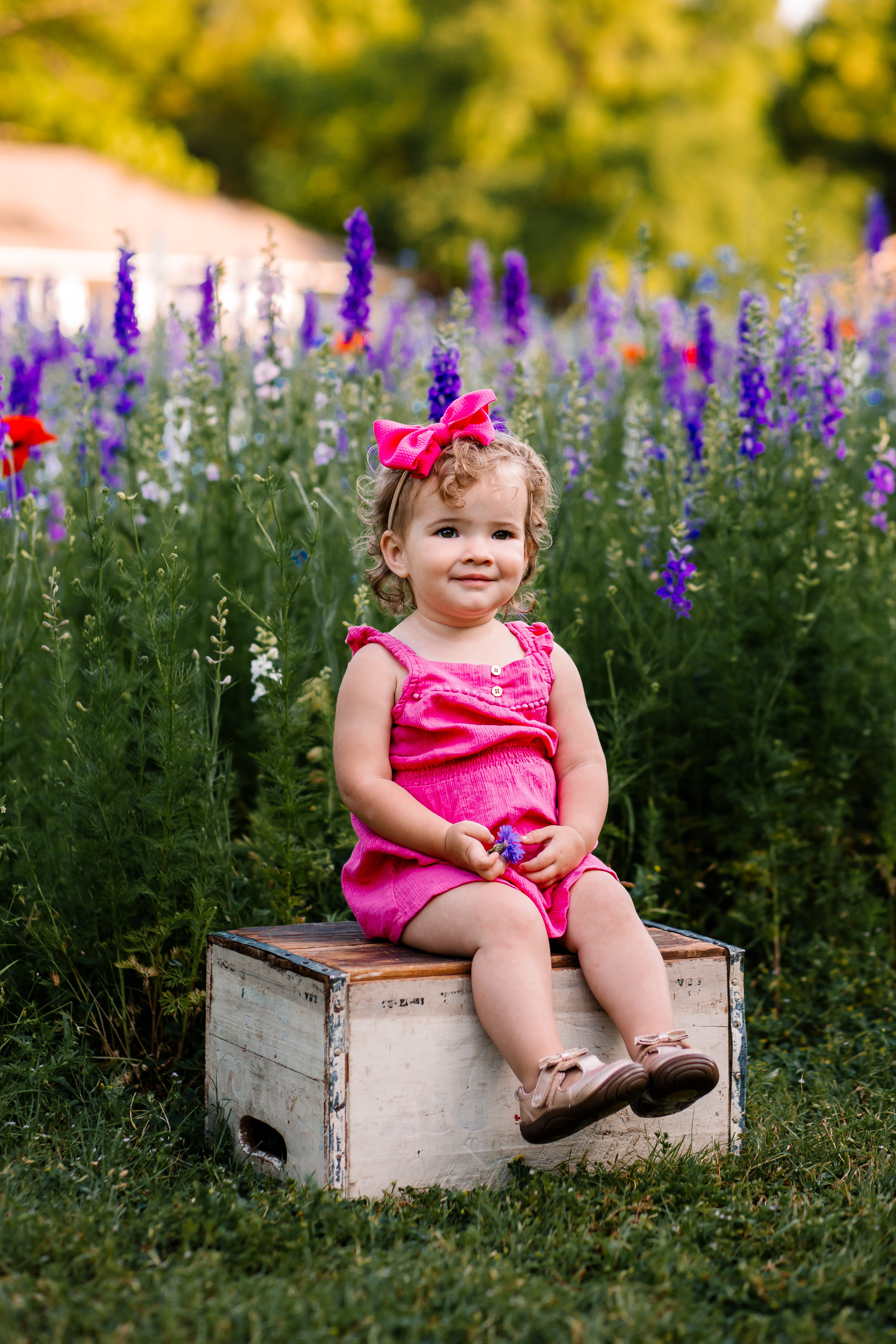 graveswildflowers-26